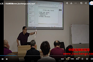 张新耀歧轩针灸面授课视频课程23集百度网盘下载学习