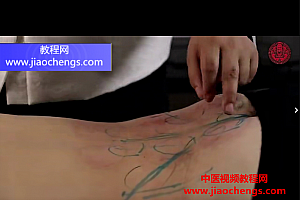 程冰雪程派岐黄排瘀术带2秘方完整版视频课程21集百度网盘下载学习