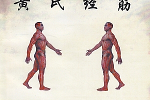 黄氏经筋黄艺经筋男科妇科学习班讲义pdf文字资料百度网盘下载学习