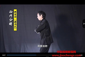 仝冰冰中华内功修炼视频课程全集7集百度网盘下载学习