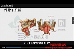 腾康学园异常姿势的解剖评估与治疗系列视频课程35讲百度网盘下载学习