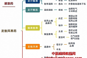 中医考研思维导图8本电子书pdf百度网盘下载学习