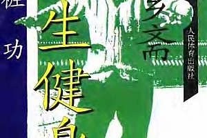 孙长友著王芗斋养生健身站桩功电子书pdf百度网盘下载学习