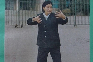 王玉芳著王芗斋站桩功电子书pdf百度网盘下载学习