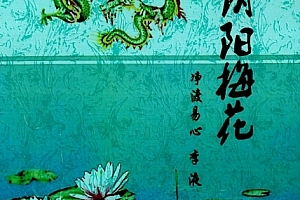 净度易心李液阴阳梅花电子书pdf百度网盘下载学习