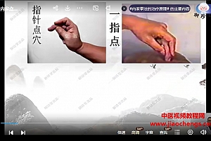 王哲14套课程合集中医博士王哲易医针灸视频教程百度网盘下载学习