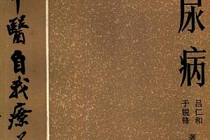 百病中医自我疗养丛书余锐锋吕仁和著糖尿病电子书pdf百度网盘下载学习