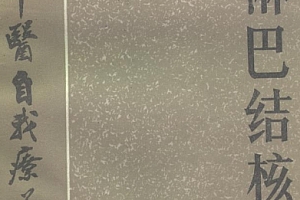 百病中医自我疗养丛书王沛著颈淋巴结核电子书pdf百度网盘下载学习