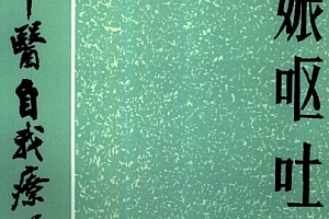 百病中医自我疗养丛书陈慧珍著妊娠呕吐电子书pdf百度网盘下载学习