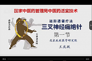 王庆跃迷踪通督疗法三叉神经痛绝针视频课程4集百度网盘下载学习