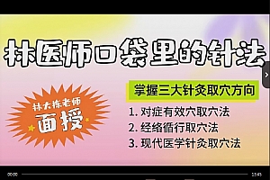 林大栋博士林医师口袋里的针法视频课程8集百度网盘下载学习