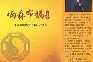 王炳森著炳森命稿电子书pdf百度网盘下载学习