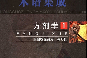 中国中医药学术语集成全10册电子书pdf百度网盘下载学习