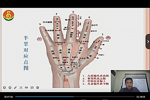 特效针法从颈肩腰腿到疑难杂症的佛道之术视频课程15集百度网盘下载学习