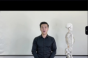 美式整脊系列手法视频课程5集百度网盘下载学习