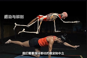 解剖列车筋膜链的系统学习视频课程50集百度网盘下载学习