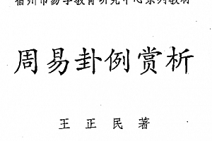 王正民周易卦例赏析电子书pdf百度网盘下载学习