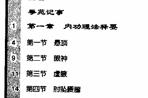 魏树人著杨氏太极拳述真之一太极拳内功理法电子版pdf百度网盘下载学习