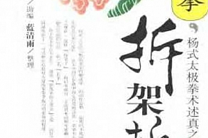 魏树人著杨式太极拳术述真系列之三太极拳拆架拆手电子版pdf百度网盘下载学习