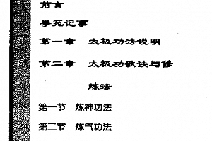 魏树人著杨氏太极拳述真之四太极拳内功修炼法电子版pdf百度网盘下载学习