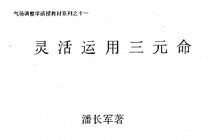 潘长军合集10本电子书pdf百度网盘下载学习