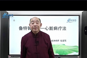 任子刚老师鲁特膂疗第2期视频课程14集百度网盘下载学习