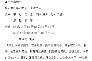 曲炜命例精解电子书pdf百度网盘下载学习