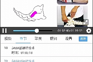 aka关节运动学治疗技术视频课程8集百度网盘下载学习