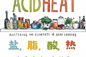 (美)萨明诺斯拉特著盐脂酸热制造美味的新科学电子书pdfmobiepub格式百度网盘下载学习