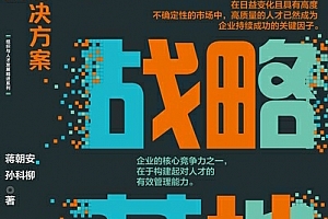 蒋朝安孙科柳著人才战略落地电子书pdfmobiepub格式百度网盘下载学习