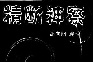 邵向阳著精断神察电子书pdf百度网盘下载学习