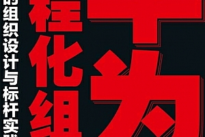 孙科柳著华为流程化组织业务驱动的组织设计与标杆实践电子书pdfmobiepub格式百度网盘下载学习