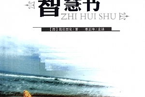 智慧书电子书pdf百度网盘下载学习