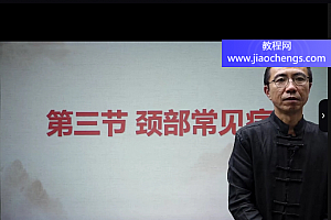 李东岳平衡针灸线上课44集百度网盘下载学习