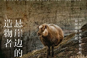 (美)贝丝夏皮罗著悬崖边的造物者电子书pdfmobiepub格式百度网盘下载学习