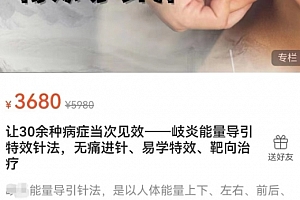 让30余种病症当次见效岐炎能量导引特效针法无痛进针易学特效靶向治疗视频课程27集百度网盘下载学习