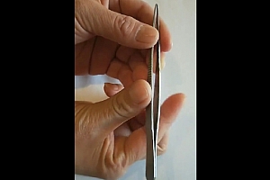 采耳基础中高学习视频课程25集百度网盘下载学习