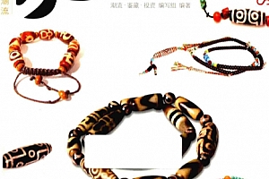 潮流鉴赏投资编写组编写玩天珠电子书pdf百度网盘下载学习