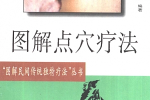 图解点穴疗法电子书pdf百度网盘下载学习