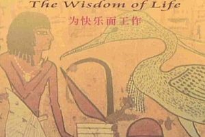 人生大智慧系列丛书10本电子书pdf百度网盘下载学习