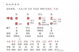 李双林命理集文案1-3部电子书pdf百度网盘下载学习