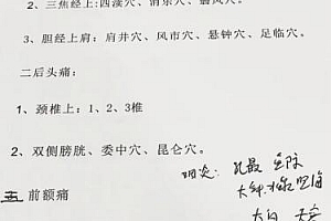 循经疗法杀手锏调理图片资料百度网盘下载学习