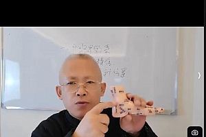张宸菘道家开关疗法绝技秘术直播课程百度网盘下载学习
