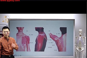 李诚毅课程合集李诚毅扁鹊神应四象针五官导引法华佗摸骨解筋术松筋活骨百度网盘下载学习