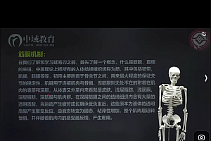 孙嘉瑶张氏正骨视频课程15集百度网盘下载学习