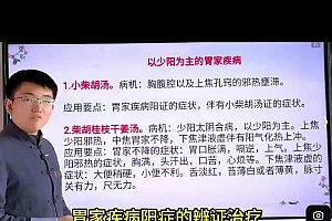 王政胃家疾病的辨证治疗视频课程3集百度网盘下载学习