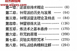 神霄派内功雷法电子书pdf百度网盘下载学习