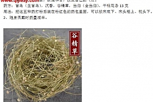 中药阵法中药运用合集29套中药化解中药加持课程百度网盘下载学习