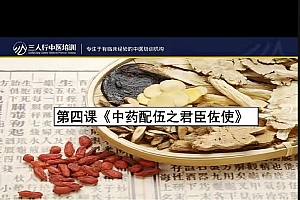 偌水老师药性专题视频课程5集百度网盘下载学习
