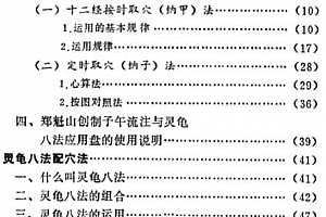 张应泰编十二经六十六穴及奇经八穴的临床图像电子书pdf百度网盘下载学习